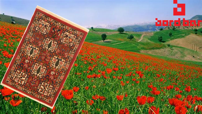 bakhtiari handmade carpet specifications